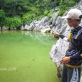 Enchanted Fish in Caramoan