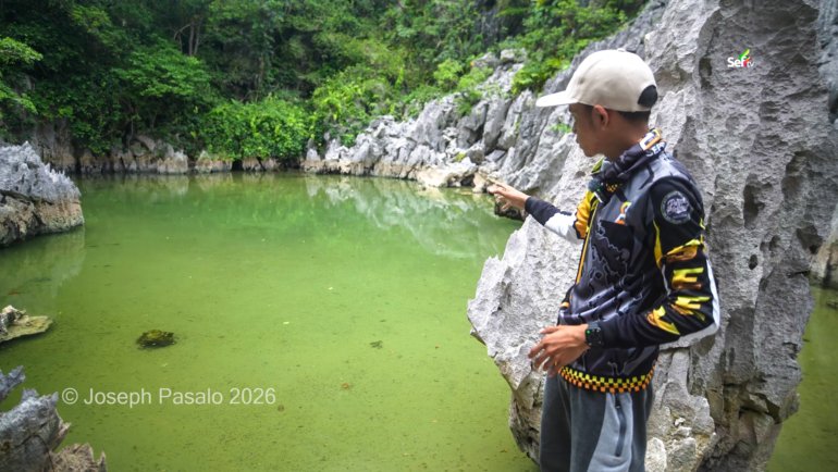 Enchanted Fish in Caramoan