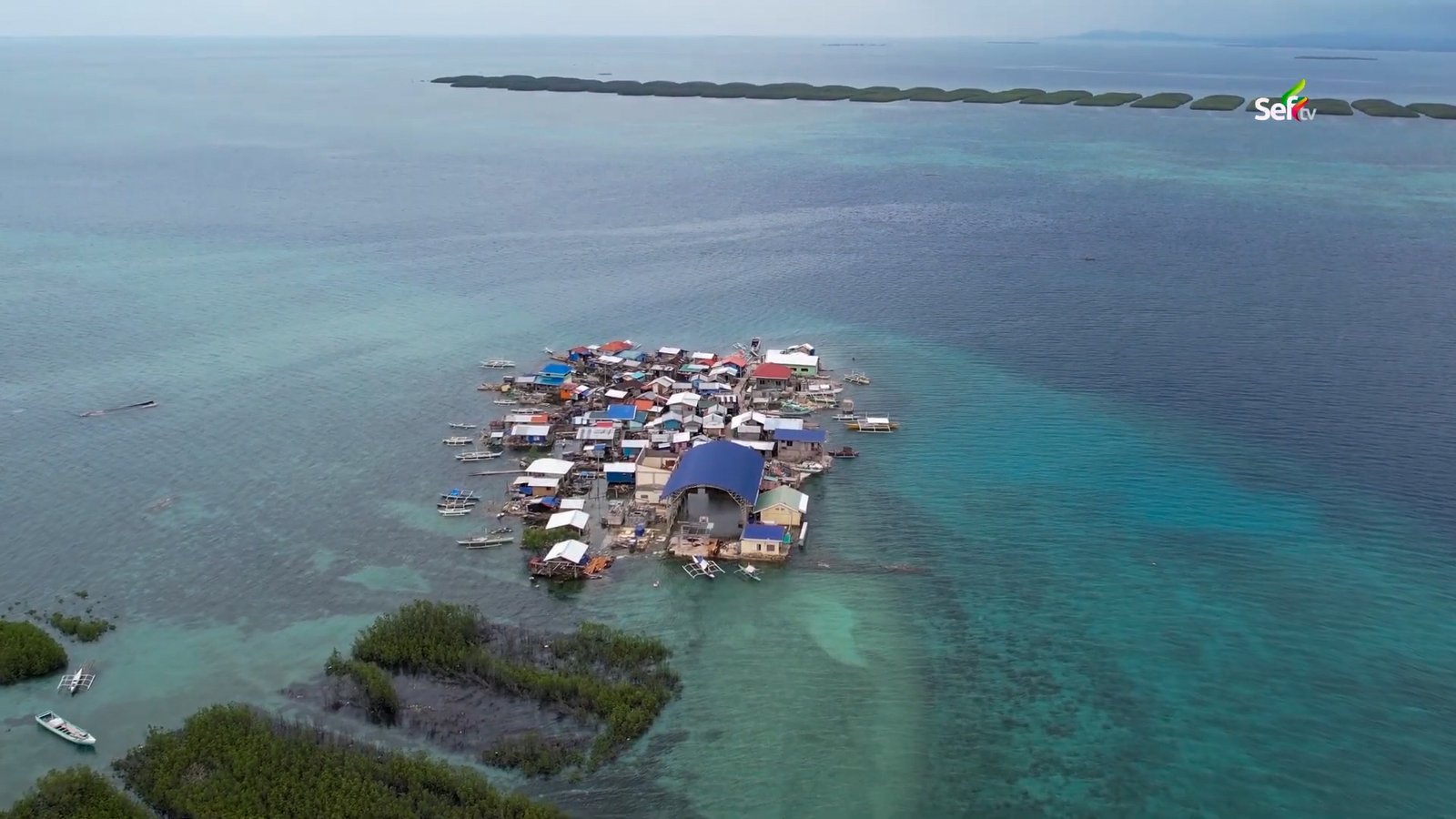 Category image