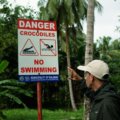 Crocodiles in Palawan