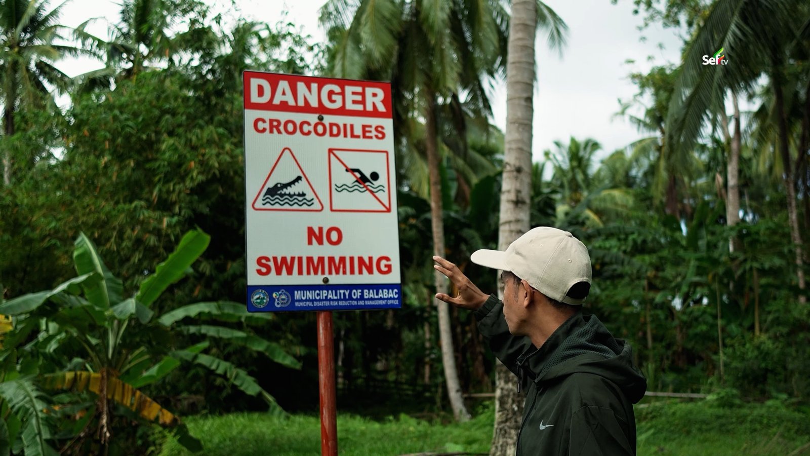 Crocodiles in Palawan