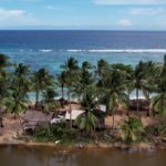 Coconuts Facing Sea in Balut Island